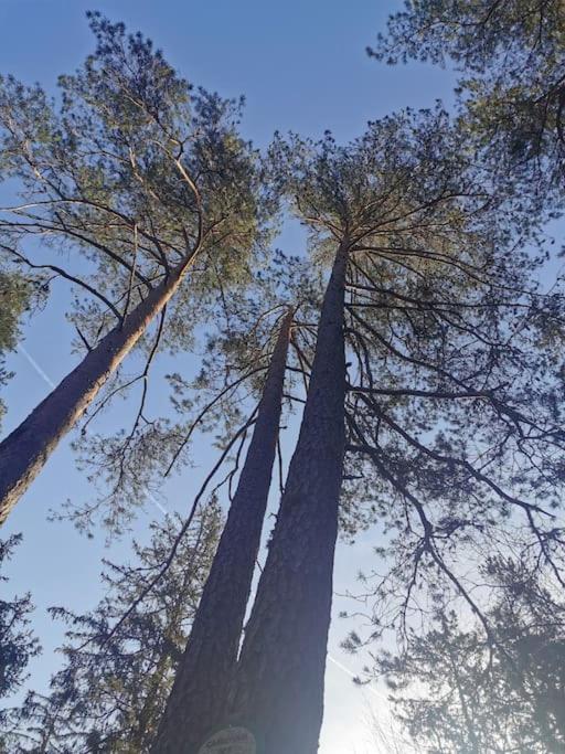 ג'רארדמר La Magie Entre Deux Lacs מראה חיצוני תמונה